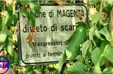 Magenta, La Nuova Italia documenta il degrado in via Walter Tobagi. Dalla ex discarica alle piante mai tagliate